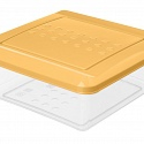 Контейнер для продуктов "Asti" квадратный 0,5л (бледно-желтый) (Профит хаус)